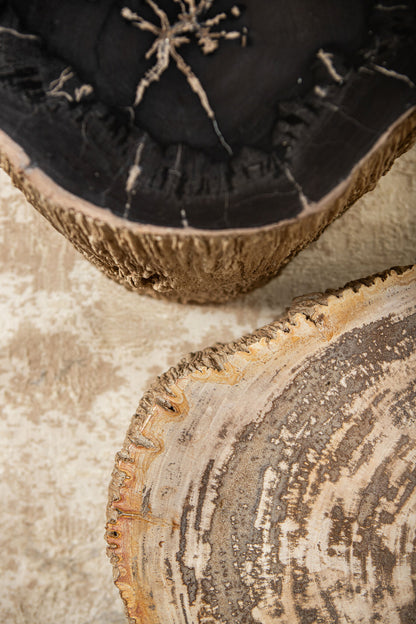 Taly Natural Petrified Wood Round Stool Fiberglass PTMD