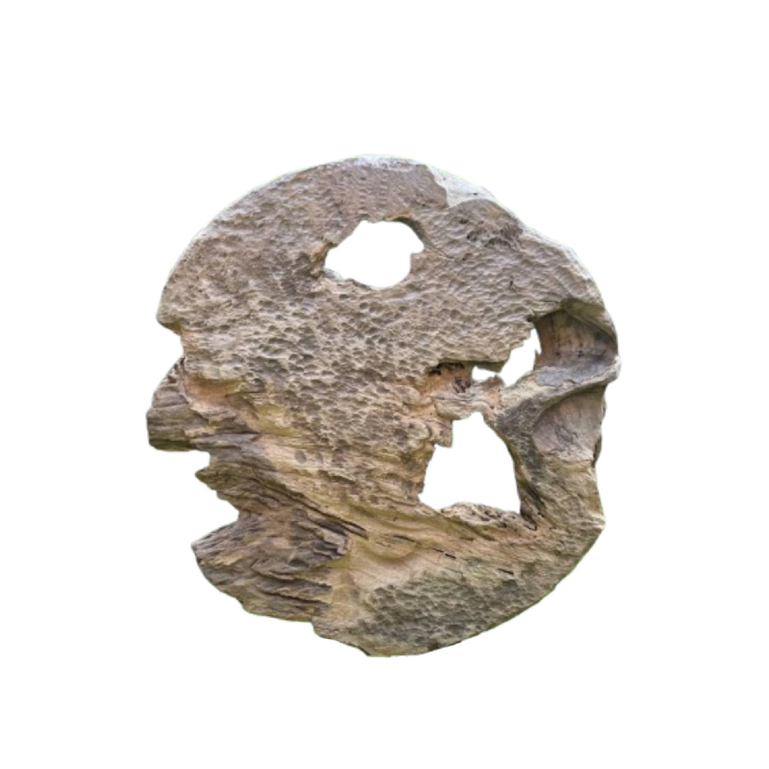 Rond Wandpaneel Roch Teakhout Opengewerkt Large PTMD