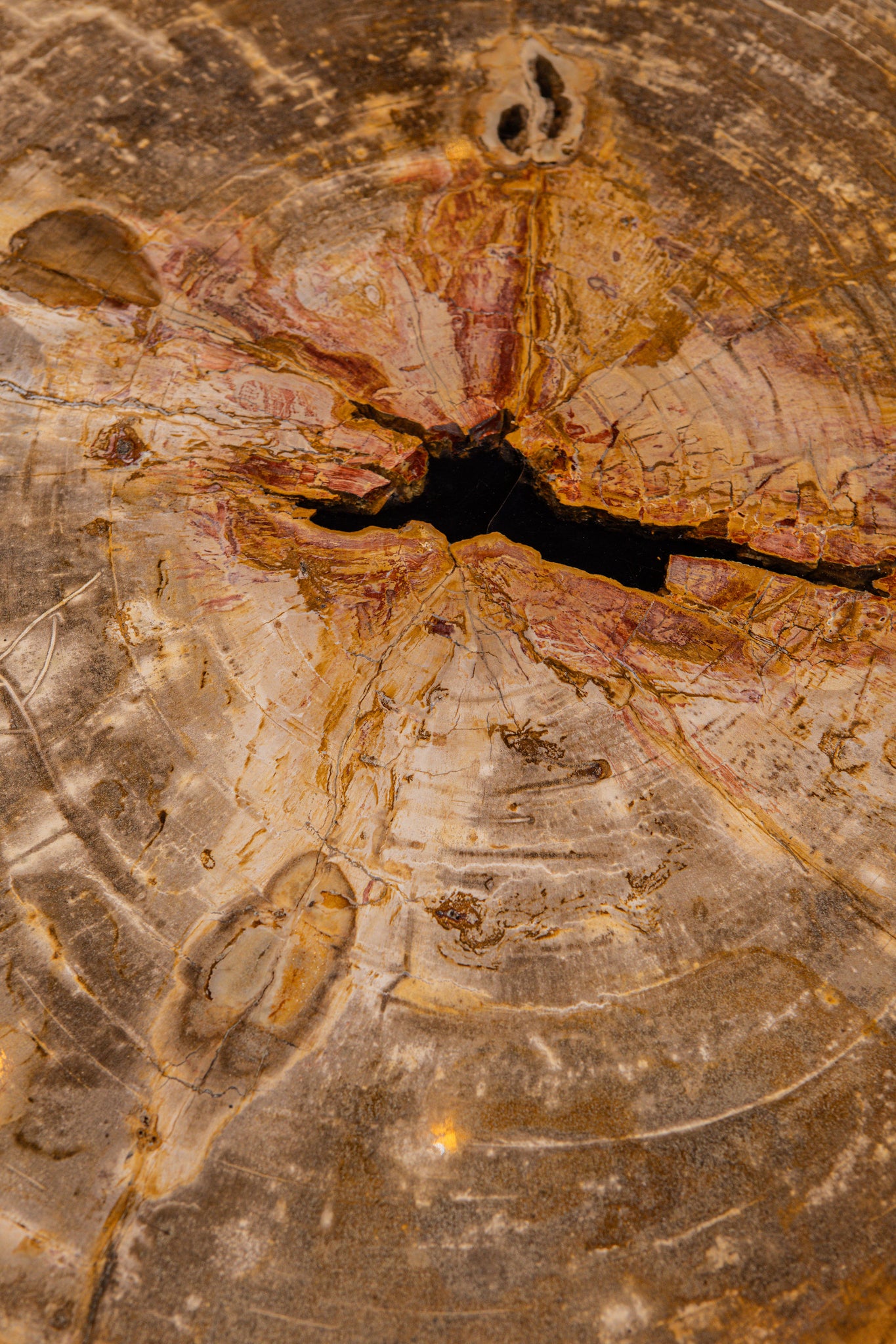 Salontafel Kayo Naturel Versteend hout 3 Poten Hoog PTMD