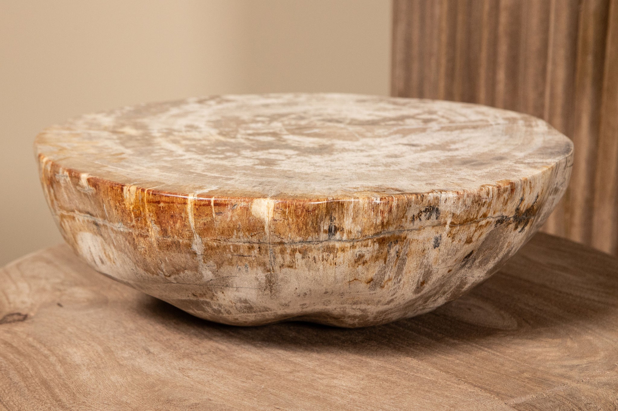 Bethe Natural Petrified Wood Half Ball Display S PTMD