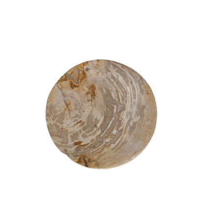 Bethe Natural Petrified Wood Half Ball Display S PTMD