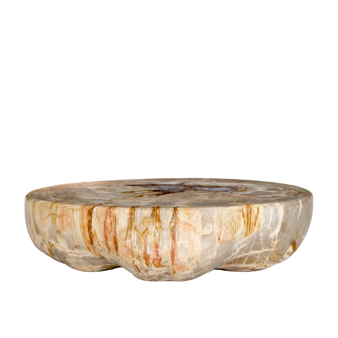 Bethe Natural Petrified Wood Half Ball Display L PTMD