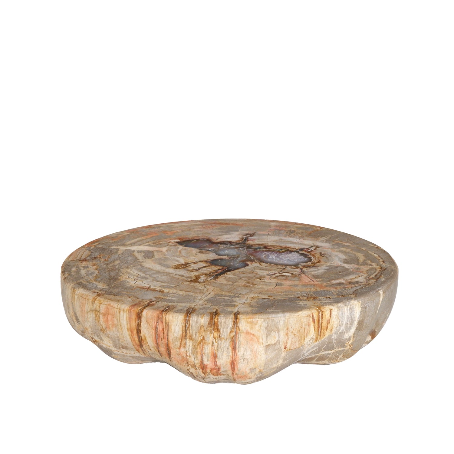 Bethe Natural Petrified Wood Half Ball Display L PTMD