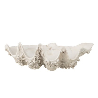 Sierschaal Zeeschelp Hars Gebroken Wit Small J-Line