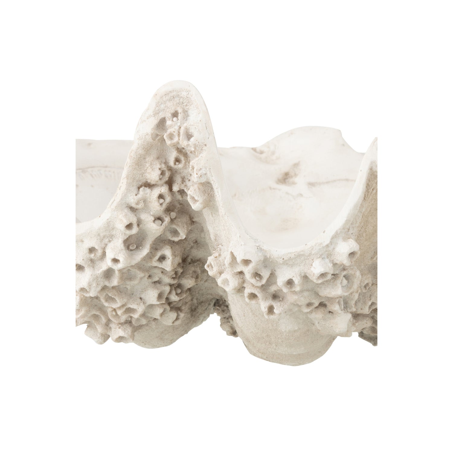 Sierschaal Zeeschelp Hars Gebroken Wit Small J-Line