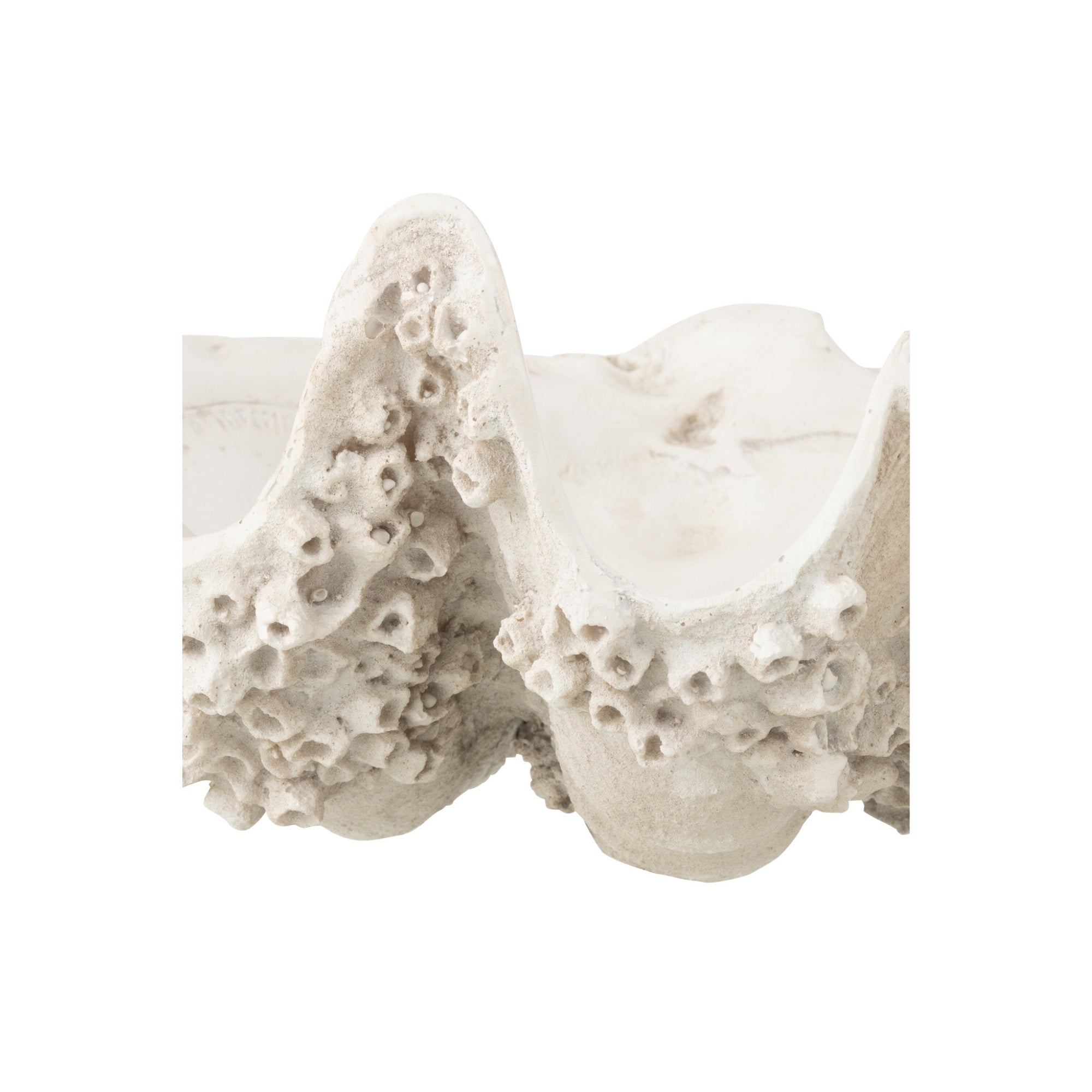 Sierschaal Zeeschelp Hars Gebroken Wit Small J-Line