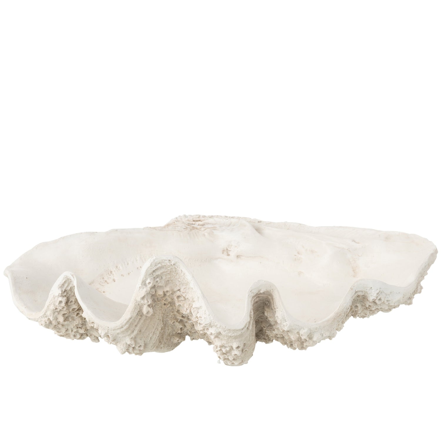 Sierschaal Zeeschelp Hars Gebroken Wit Large J-Line