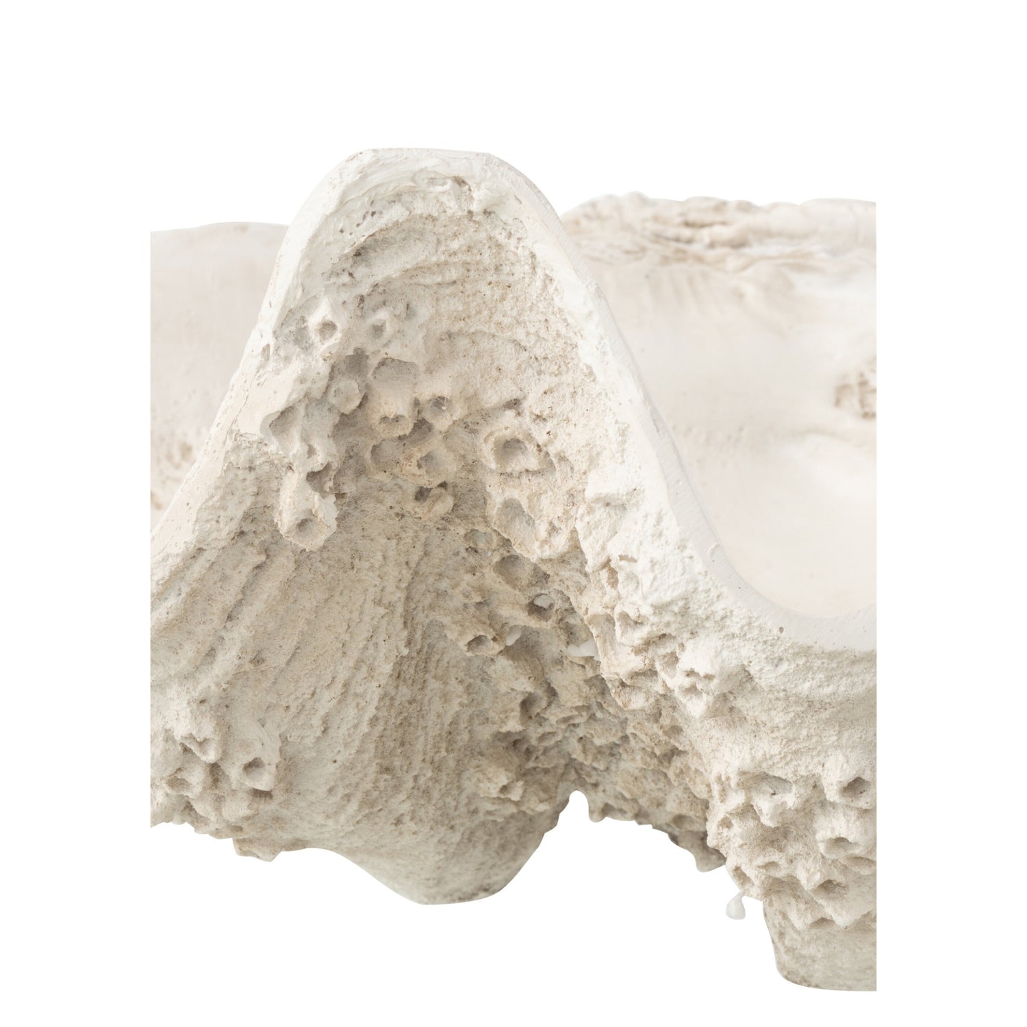 Sierschaal Zeeschelp Hars Gebroken Wit Large J-Line