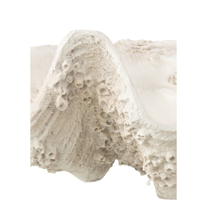 Sierschaal Zeeschelp Hars Gebroken Wit Large J-Line
