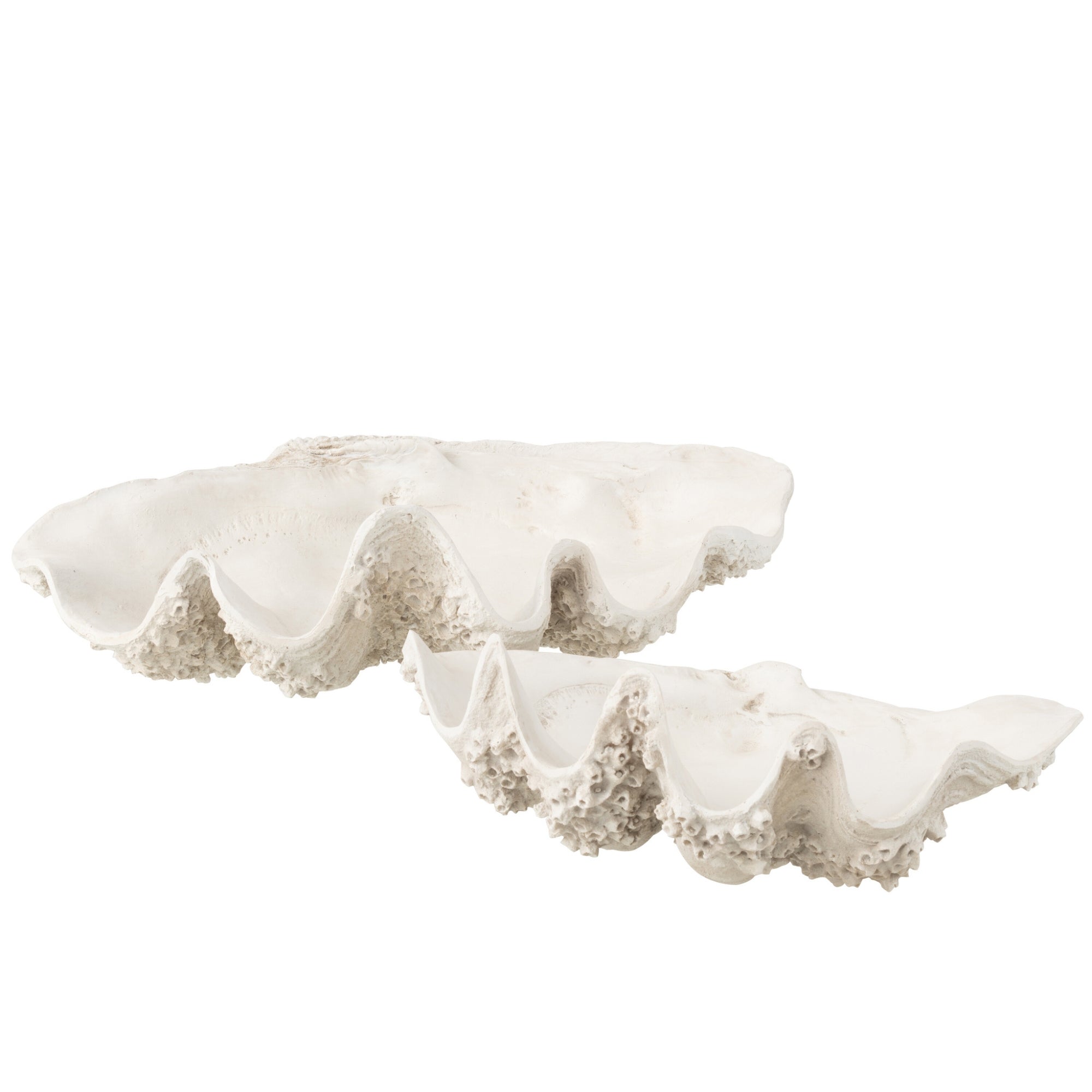 Sierschaal Zeeschelp Hars Gebroken Wit Large J-Line