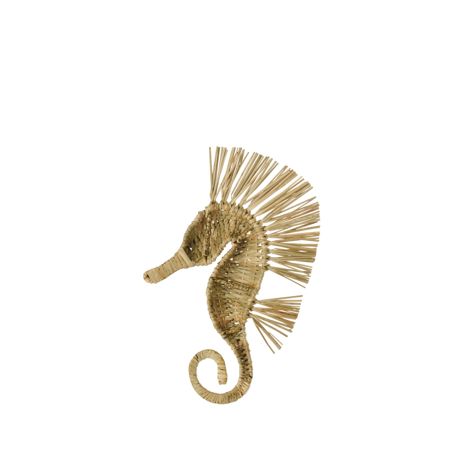 Wandobject Zeepaard Gras Naturel Small J-Line