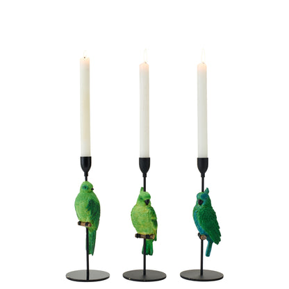 Kaarshouder Op Voet Papegaai Kalk Groen/Blauw Assortiment Van 3 J-Line