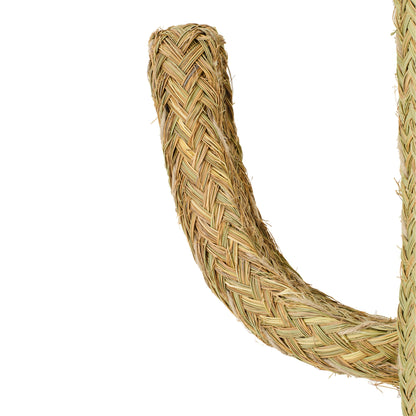 Cactus Gras Naturel Extra Large J-Line