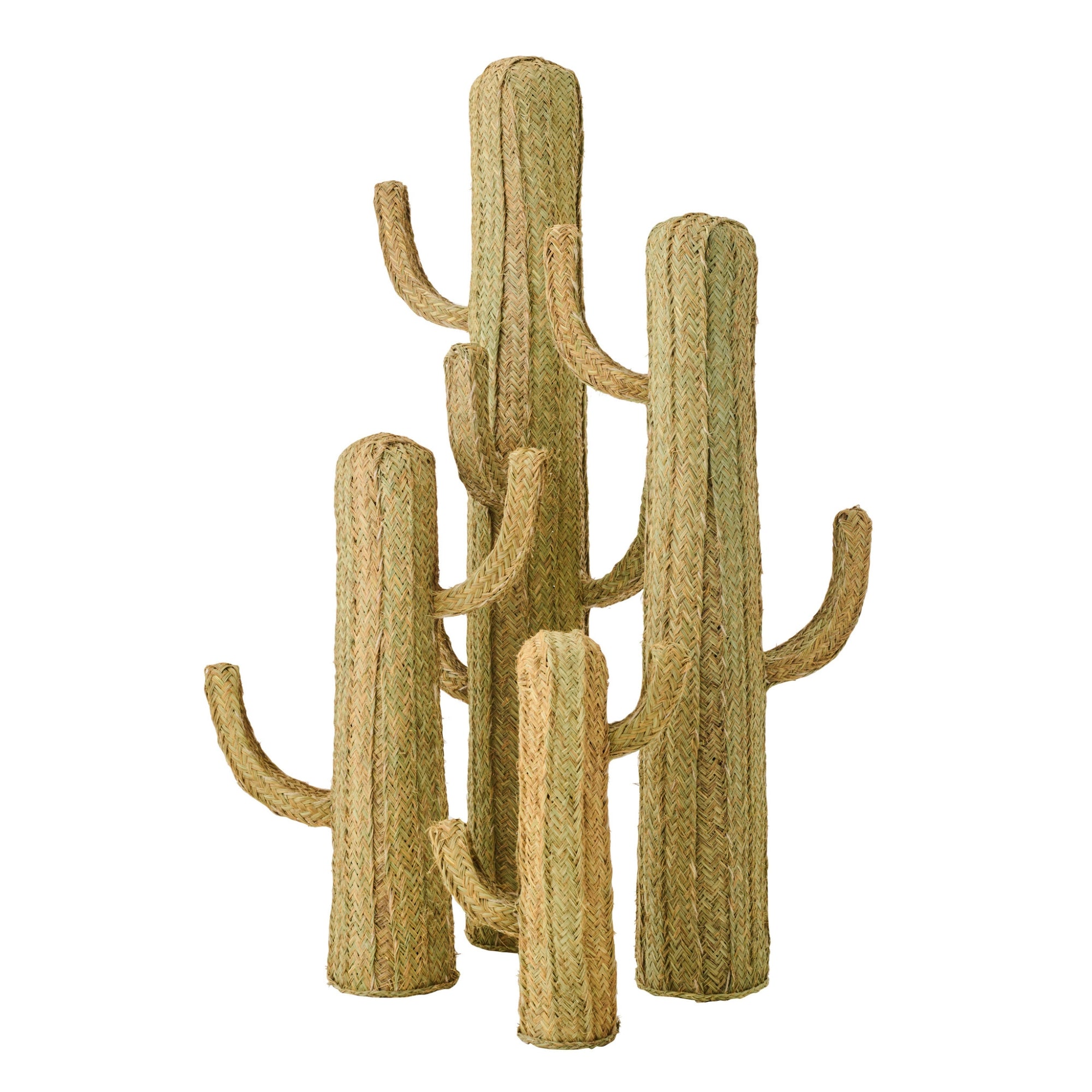 Cactus Gras Naturel Extra Large J-Line