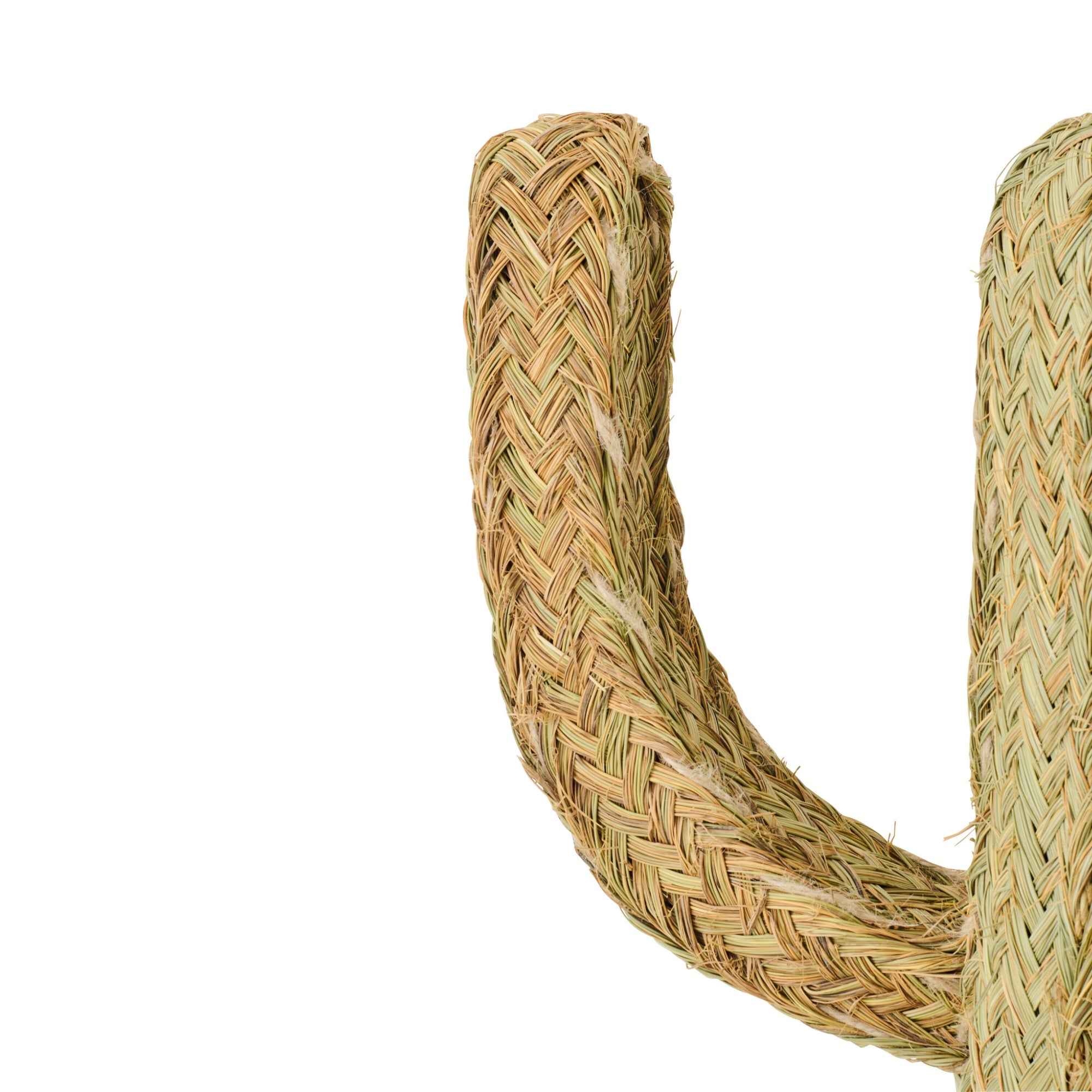 Cactus Gras Naturel Large J-Line