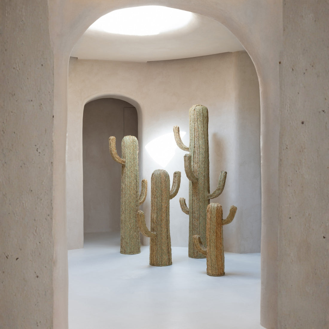 Cactus Gras Naturel Small J-Line