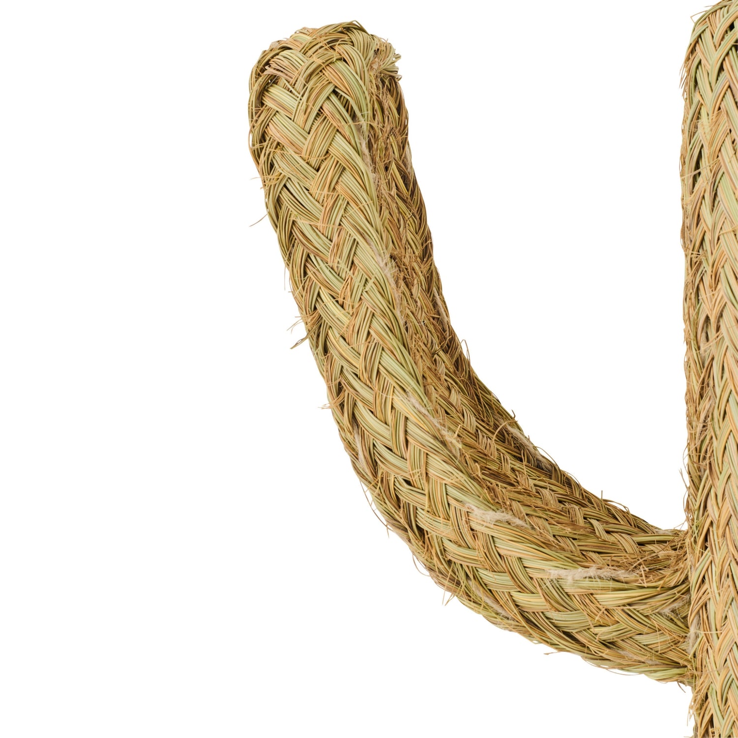 Cactus Gras Naturel Medium J-Line