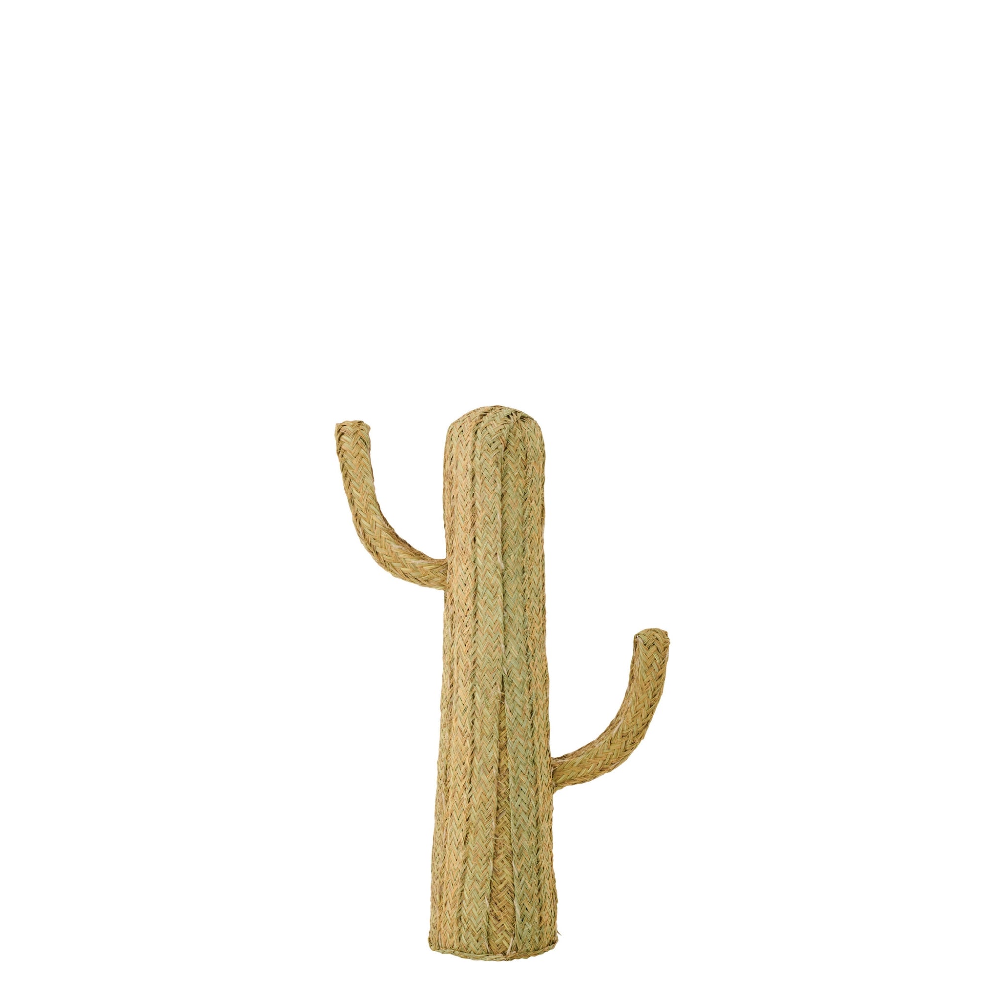 Cactus Gras Naturel Medium J-Line