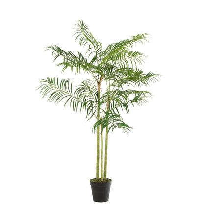 Bamboepalm In Pot Plastiek Groen/Zwart Small J-Line