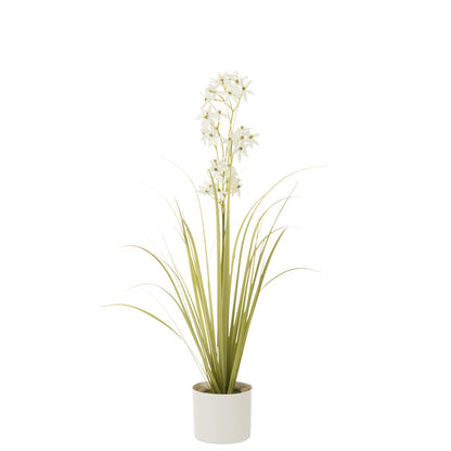 Allium In Pot Plastiek Groen/Wit Small 15x15x92cm - Kunstplant - J-Line - livinglovely.nl