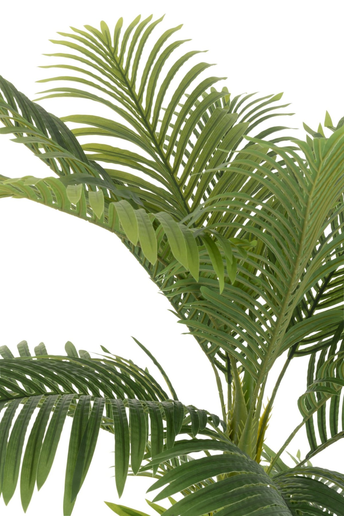 Arecapalm In Pot Kunststof Groen H180cm J-Line