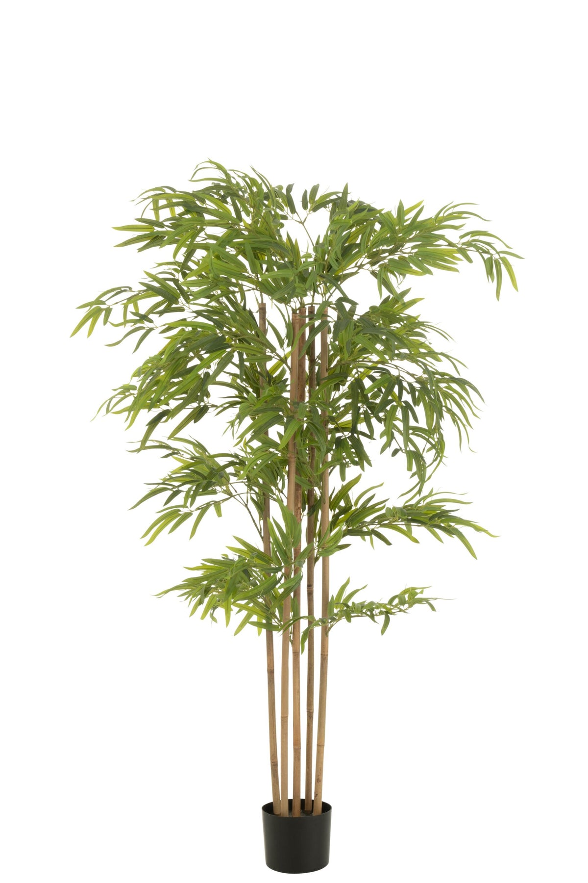 Bamboe In Pot Kunststof Groen H150cm J-Line