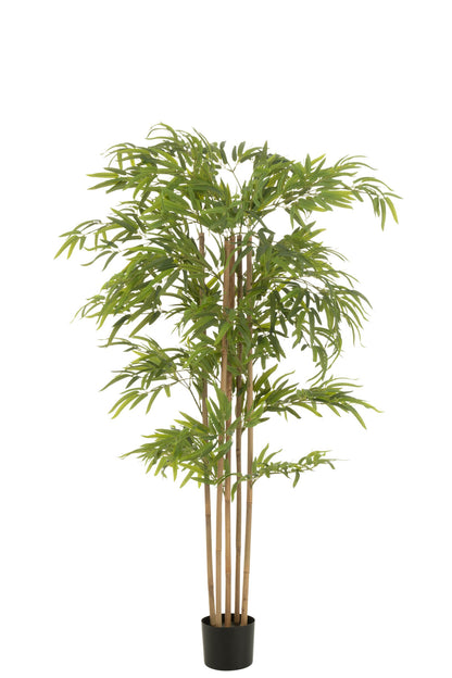 Bamboe In Pot Kunststof Groen H150cm J-Line