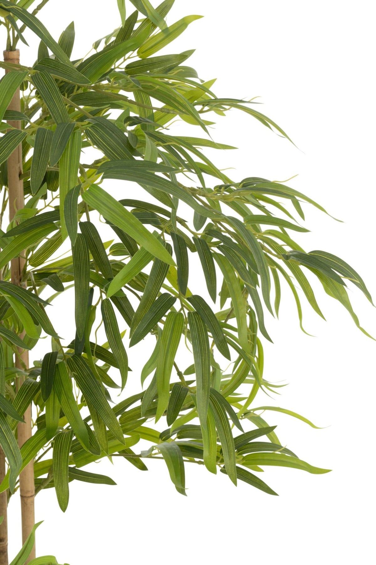Bamboe In Pot Kunststof Groen H150cm J-Line