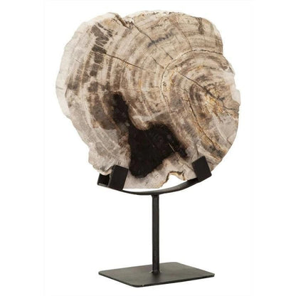 Statue Fossil van MUST Living, versteend hout op een voet, volledig in beeld