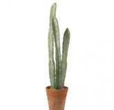 Cactus In Pot Plastiek Groen Large Set van 3 - Kunstplant - J-Line - livinglovely.nl