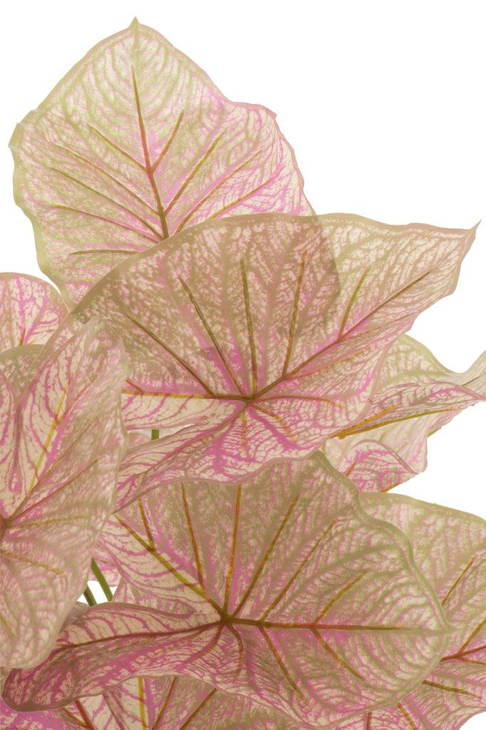 Caladium In Pot Plastiek Licht Roze/Groen 25x25x57cm - Kunstplant - J-Line - livinglovely.nl