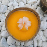 Coconut Kaars - Kaars - Living Lovely - livinglovely.nl