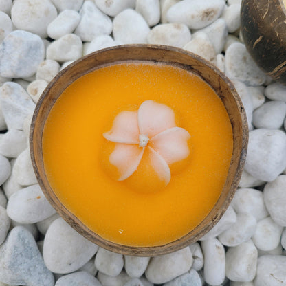 Coconut Kaars - Kaars - Living Lovely - livinglovely.nl