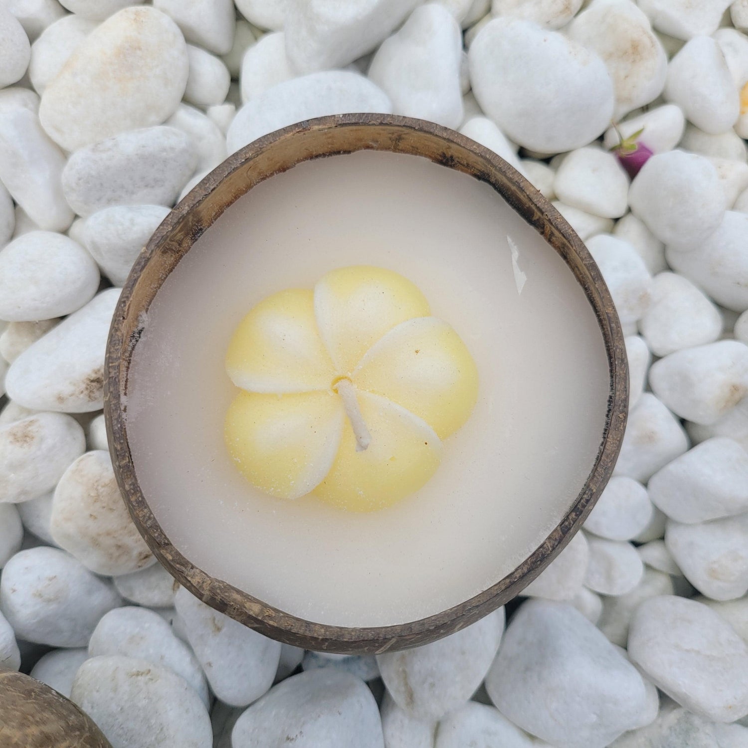 Coconut Kaars - Kaars - Living Lovely - livinglovely.nl