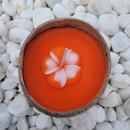 Coconut Kaars - Kaars - Living Lovely - livinglovely.nl