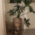 Cone Planter dBohdi , Vaas/pot/kruik , dBodhi , livinglovely.nl