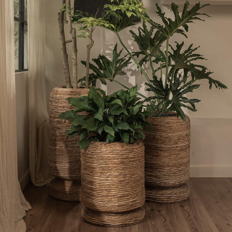 Cone Planter dBohdi , Vaas/pot/kruik , dBodhi , livinglovely.nl