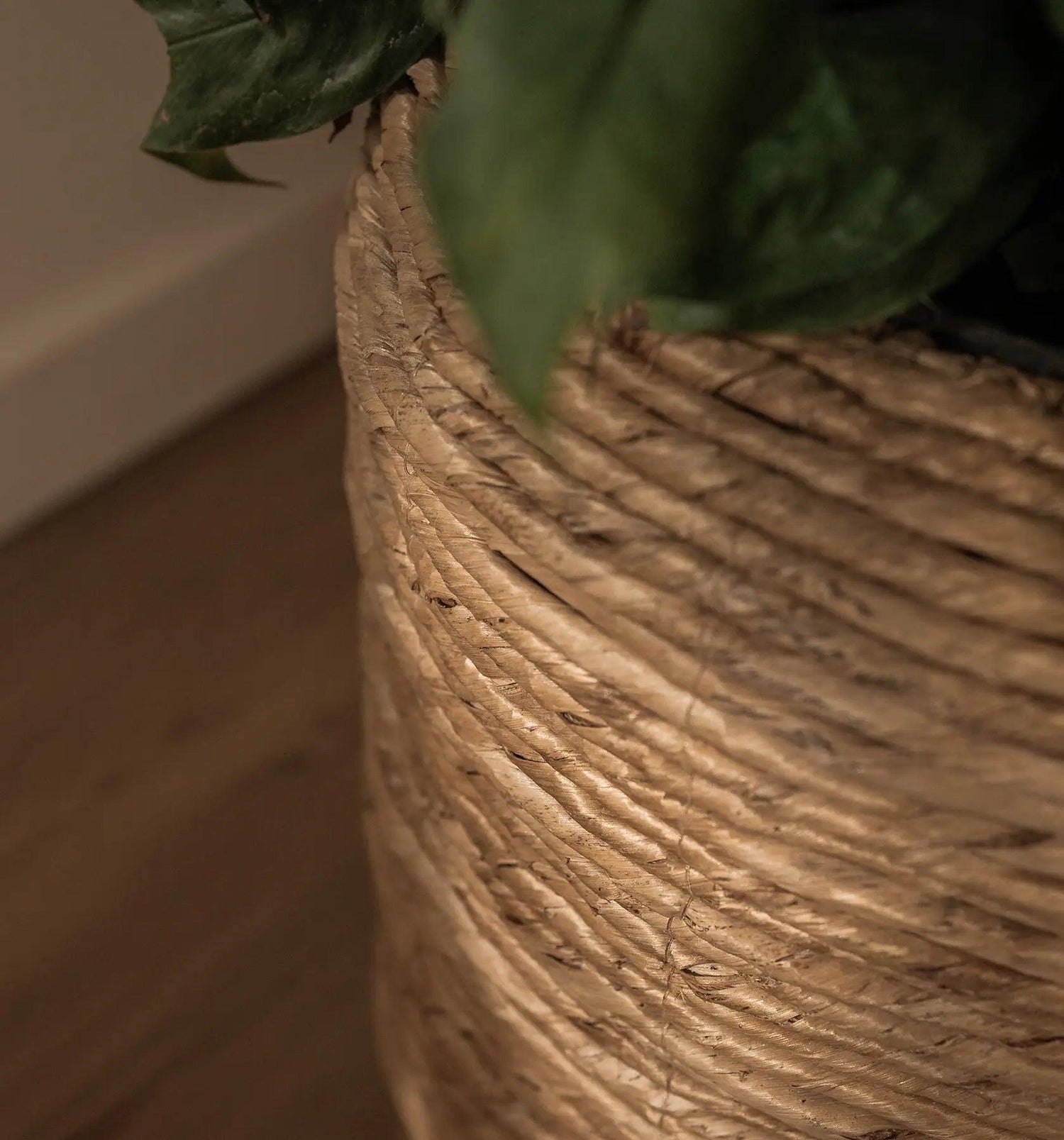 Cone Planter dBohdi , Vaas/pot/kruik , dBodhi , livinglovely.nl