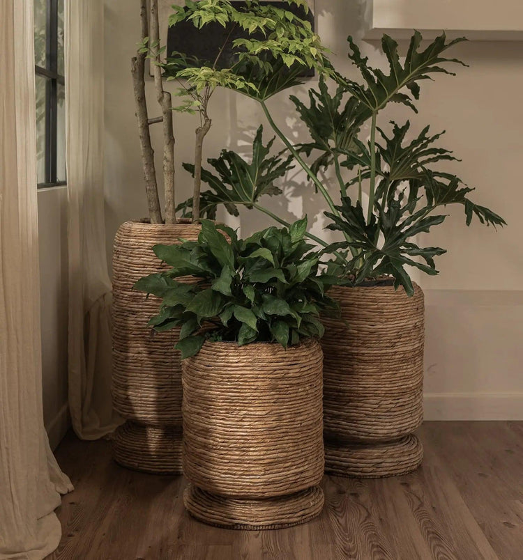 Cone Planter dBohdi , Vaas/pot/kruik , dBodhi , livinglovely.nl