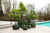 Coraline Green Glazed Round Ceramic Pot Set van 2 PTMD - Pot - PTMD - livinglovely.nl