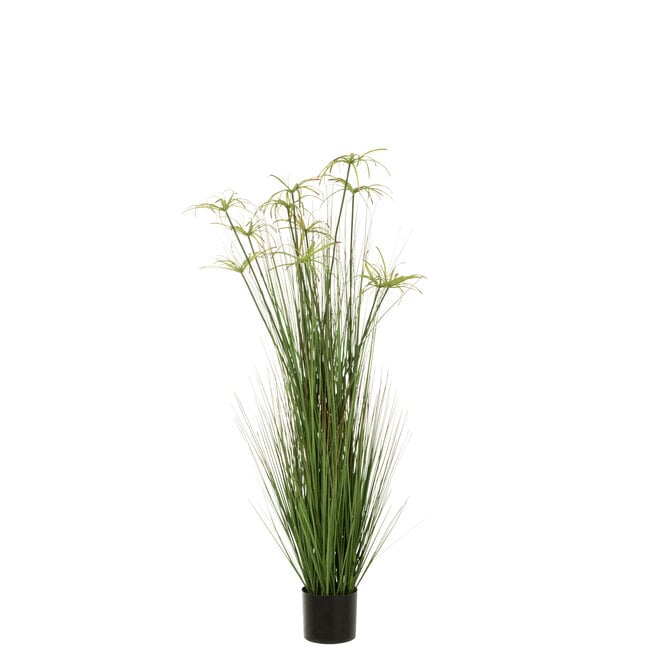 Cyperus Alternifolius 11 Koppen In Pot Pvc Groen Large - Kunstplant - J-Line - livinglovely.nl