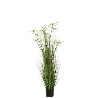 Cyperus Alternifolius 11 Koppen In Pot Pvc Groen Large - Kunstplant - J-Line - livinglovely.nl