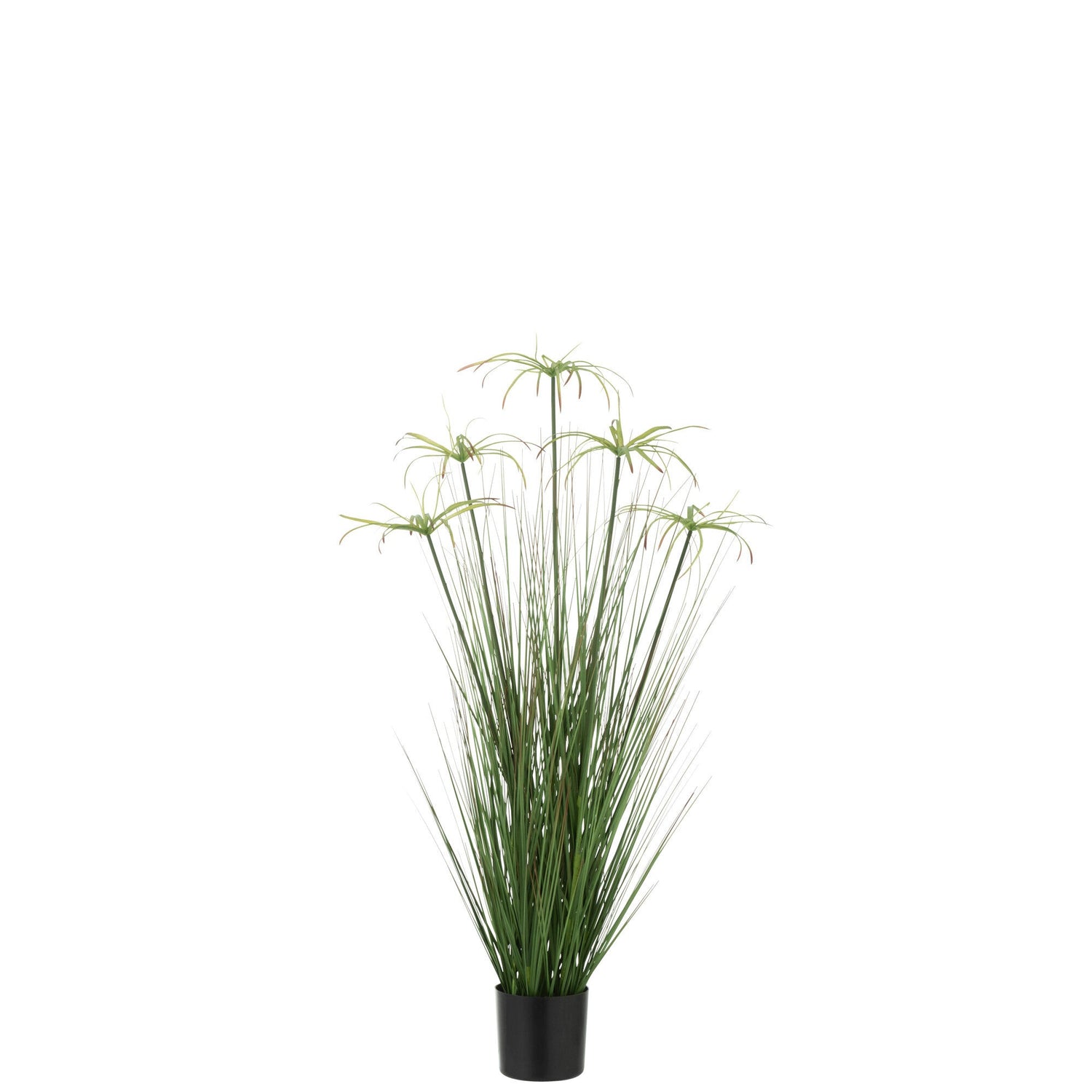 Cyperus Alternifolius 5 Koppen In Pot Pvc Groen Small - Kunstplant - J-Line - livinglovely.nl