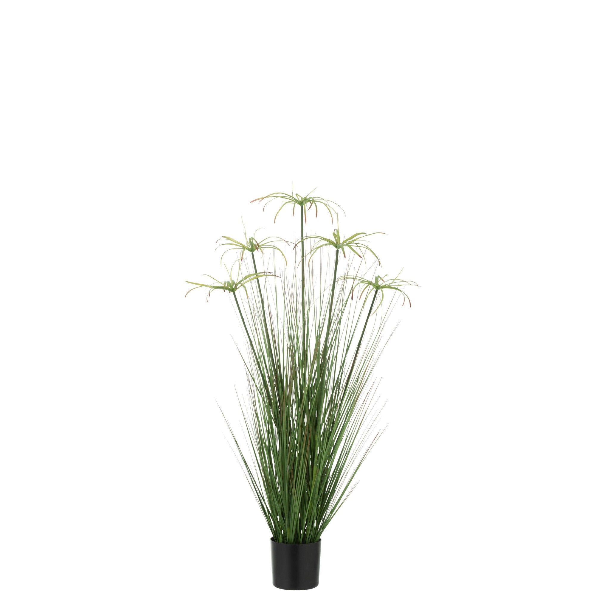 Cyperus Alternifolius 5 Koppen In Pot Pvc Groen Small - Kunstplant - J-Line - livinglovely.nl