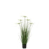 Cyperus Alternifolius 5 Koppen In Pot Pvc Groen Small - Kunstplant - J-Line - livinglovely.nl
