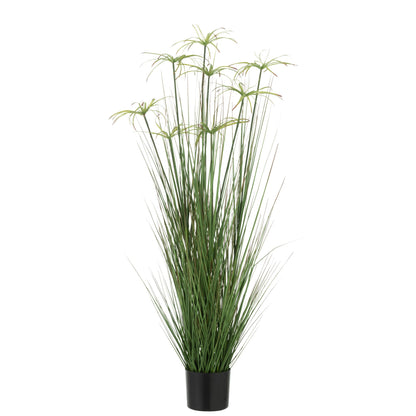 Cyperus Alternifolius 8 Koppen In Pot Pvc Groen Medium - Kunstplant - J-Line - livinglovely.nl