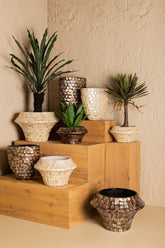 Daven Bronze Poly Shell Bamboo Pot Rond PTMD , Vaas/pot/kruik , PTMD , livinglovely.nl