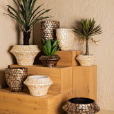Daven Cream Poly Shell Bamboo Pot Round Low S PTMD - Pot - PTMD - livinglovely.nl