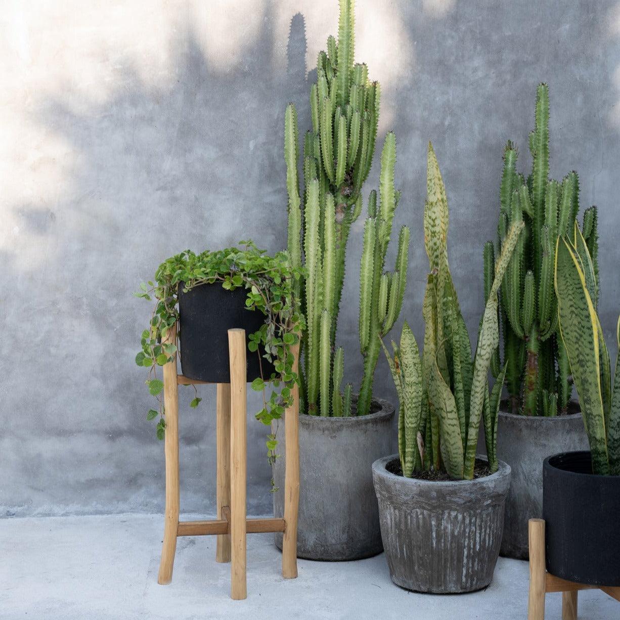 De Charcoal Hoge Plantenbak - Zwart - Large , Pot , Bazar Bizar , livinglovely.nl