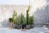 De Charcoal Hoge Plantenbak - Zwart - Small , Vaas/pot/kruik , Bazar Bizar , livinglovely.nl